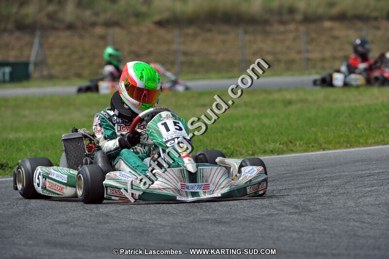 DSC_ (483).jpg